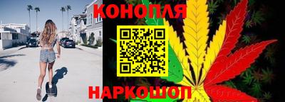 индика Новокубанск