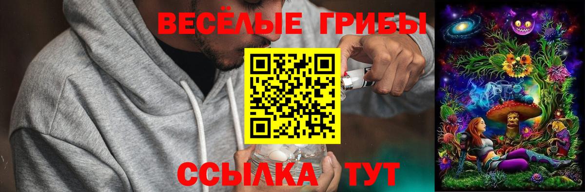 Тавда  Псилоцибиновые грибы мицелий  Вход с VPN 